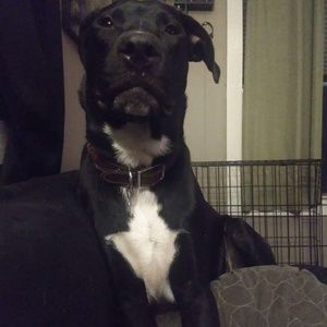 Meet your Posher, Aaron